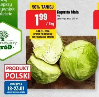 Polomarket Kapusta biała 1 kg oferta