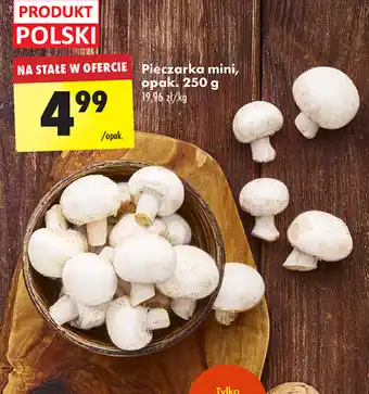 Biedronka Pieczarki oferta