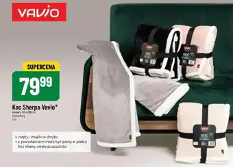 Koc Sherpa Vavio 1szt.