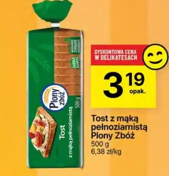 Delikatesy Centrum Tost z mąką pełnoziarnistą Plony zbóż 500 g oferta