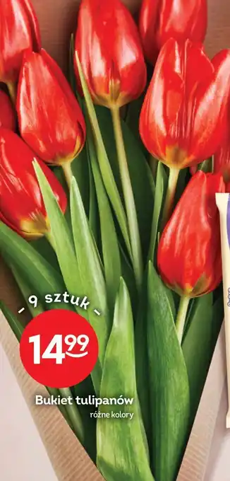 Żabka Bukiet tulipanów oferta