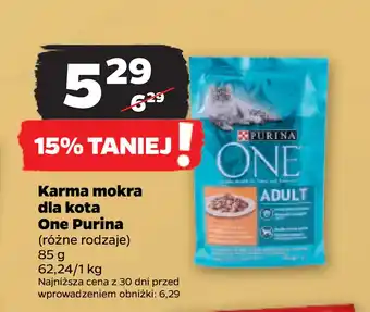 Netto Karma mokra dla kota one purina oferta