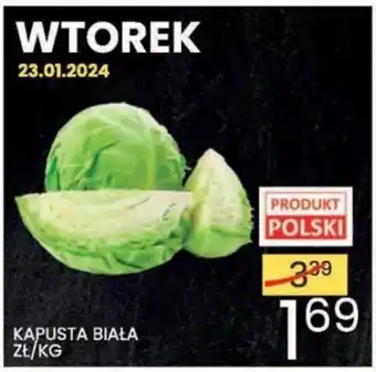 Wafelek KAPUSTA BIAŁA 1 KG oferta