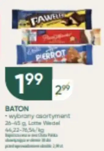 Chata Polska BATON oferta