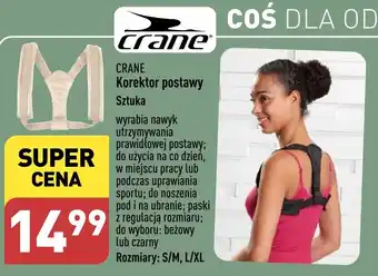 ALDI CRANE Korektor postawy oferta