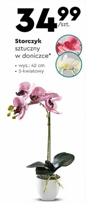 Biedronka Storczyk sztuczny w doniczce oferta