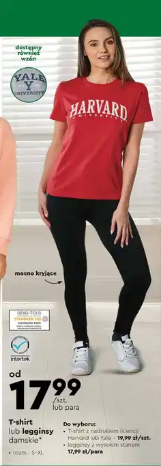 Biedronka T-shirt lub legginsy oferta