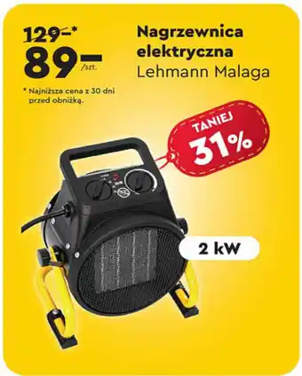 Biedronka Nagrzewnica elektryczna Lehmann Malaga 2 kW oferta