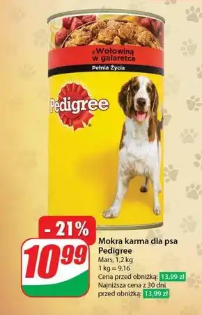 Dino Karma dla psa pedigree oferta