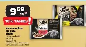 Netto Mokra karma dla kota sheba oferta