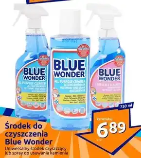 Action Środek do czyszczenia blue wonder oferta