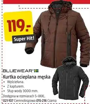 Kurtka męska bluewear