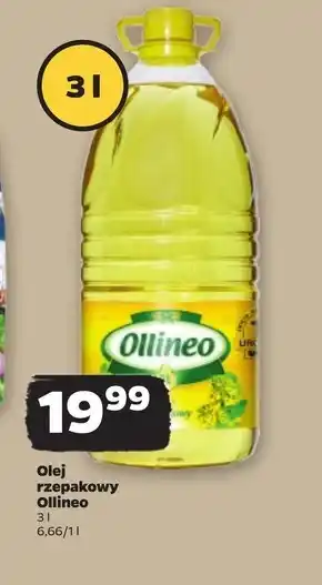 Netto Olej ollineo oferta