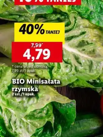 Lidl BIO Minisałata rzymska 2 szt. oferta