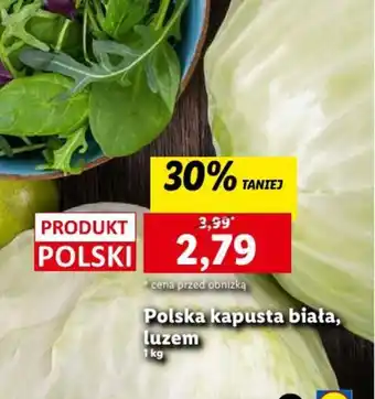 Lidl Polska kapusta biała, luzem 1 kg oferta