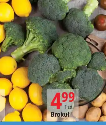 E.Leclerc Brokuł 1 szt. oferta