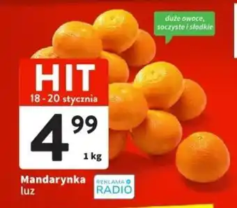 Mandarynka 1 kg