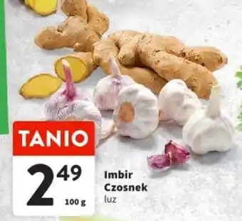 Intermarche Imbir Czosnek 100 g oferta