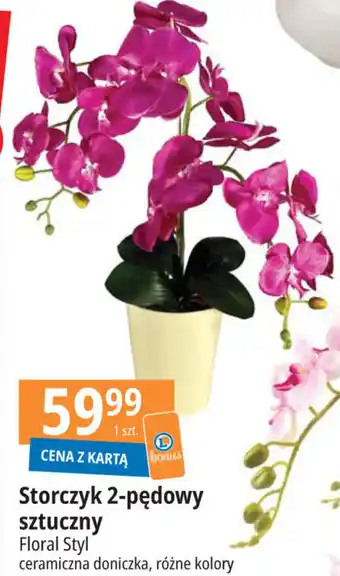 E.Leclerc Storczyk 2-pędowy sztuczny Floral Styl oferta