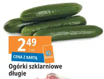E.Leclerc Ogórki szklarniowe długie oferta