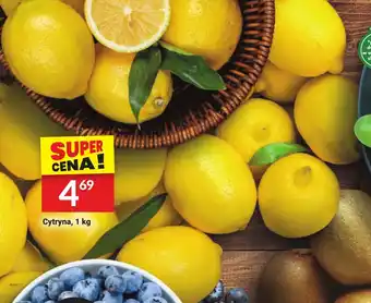 Twój Market Cytryna 1 kg oferta