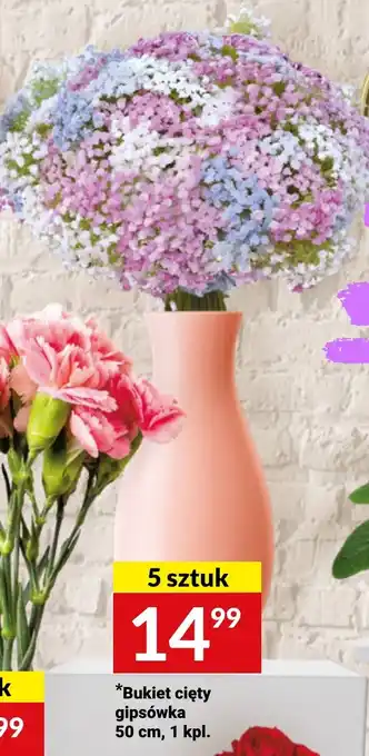 Twój Market Bukiet cięty gipsówka 5szt. oferta