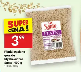 Twój Market Płatki owsiane górskie błyskawiczne Sante 400 g oferta