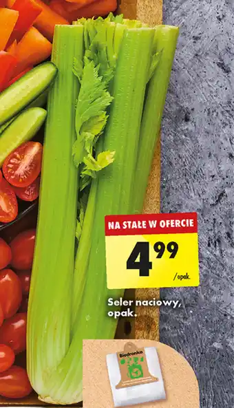 Biedronka Seler naciowy, opak. oferta