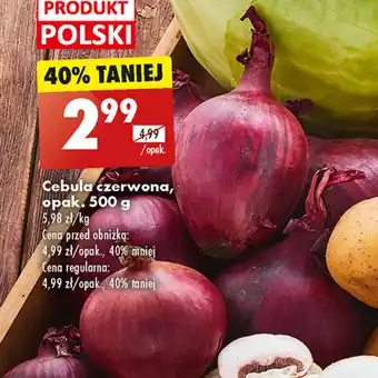 Biedronka Cebula czerwona, opak. 500 g oferta