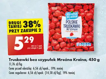 Biedronka Truskawki bez szypułek Mroźna Kraina, 450 g oferta