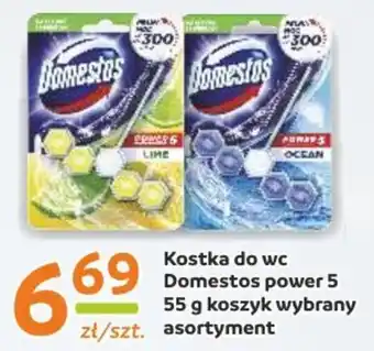 Gama Kostka do wc Domestos power 5 55 g oferta