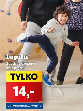Lidl Lupilu Spodnie dresowe chłopięce oferta