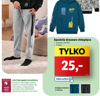 Lidl Spodnie dresowe chłopięce oferta