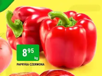 bi1 PAPRYKA CZERWONA 1 kg oferta