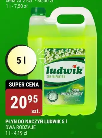 bi1 PŁYN DO NACZYŃ LUDWIK 5 I oferta