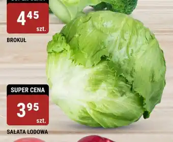 bi1 SAŁATA LODOWA szt. oferta