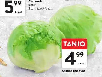 Intermarche Sałata lodowa oferta