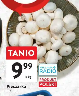 Intermarche Pieczarka 1kg oferta