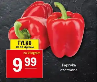 Gram Market Papryka czerwona 1 kg oferta