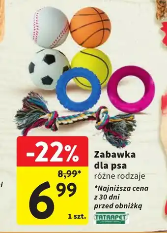 Intermarche Zabawka dla psa oferta