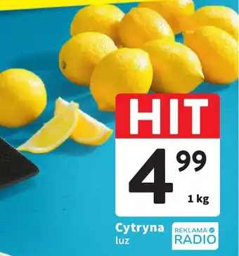 Intermarche Cytryna luz 1 kg oferta