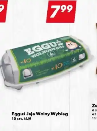 Lewiatan Egguś Jaja Wolny Wybieg 10 szt. kl.M oferta