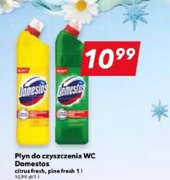 Lewiatan Płyn do czyszczenia WC Domestos 1 l oferta