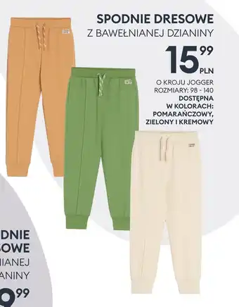 Sinsay Spodnie dresowe Sinsay oferta
