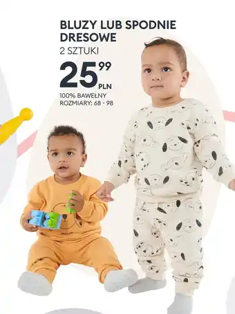 Sinsay Spodnie dresowe Sinsay oferta