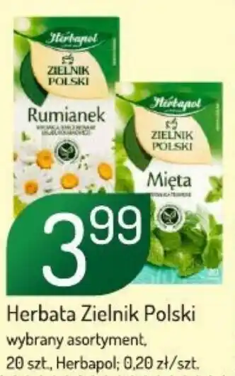 Avita Herbata Zielnik Polski oferta