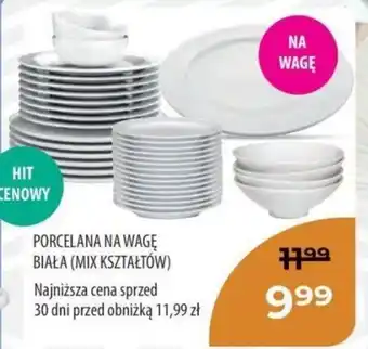 PORCELANA NA WAGĘ BIAŁA