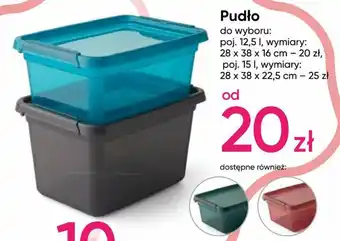 Pepco Pudło 28x38x16cm oferta