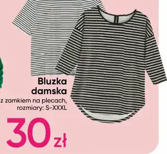 Pepco Bluzka damska oferta