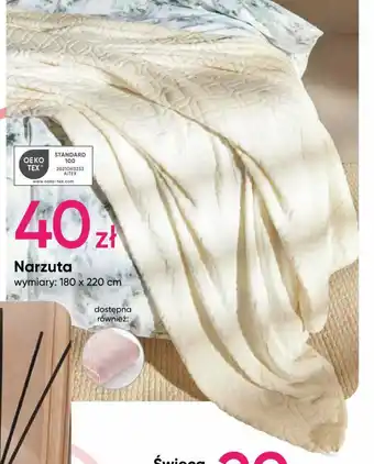 Pepco Narzuta 180x220cm oferta